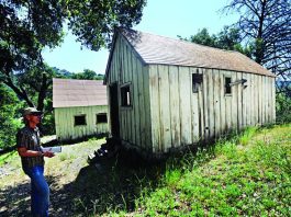 Hot springing into action