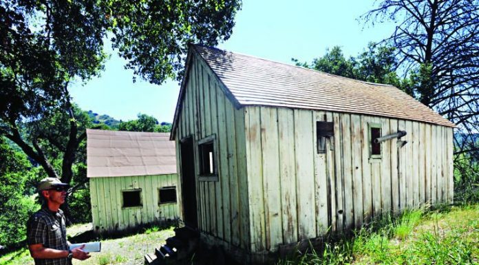 Hot springing into action