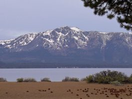 Getting Out: Reap the reward of the Mt. Tallac Challenge