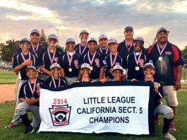 Little League Baseball: Majors All-Stars’ end run in NorCal tourney