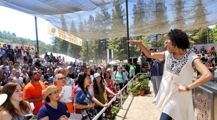 Garlic Fest 14: Carla Hall, Akemi Inamura from Takko-Machi set to visit festival
