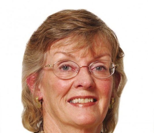 Four seats, six candidates for GUSD board