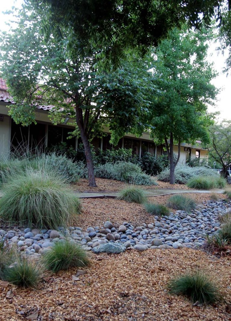 Lush lawn? That’s so 1980s