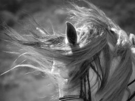 Photography runs in the family