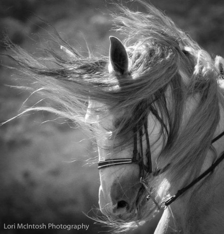 Photography runs in the family