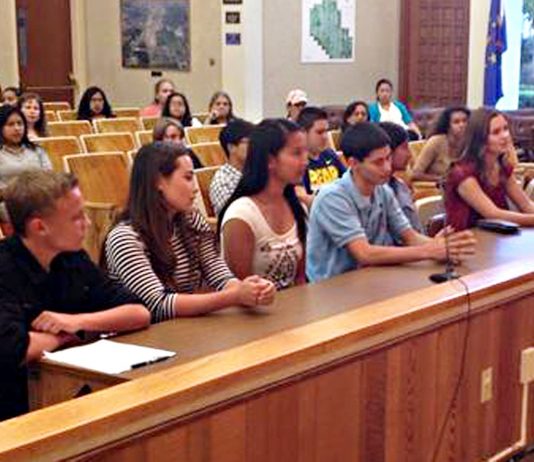 Seventeen teens vie for six open seats on Youth Commission