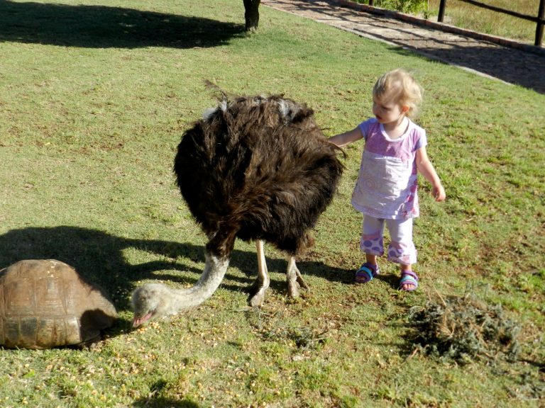 Locals take in African landscape, wildlife