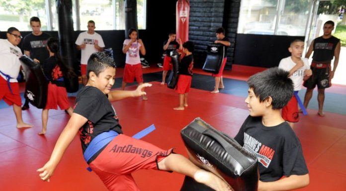 War of Lions sparring tournament descends on Gilroy