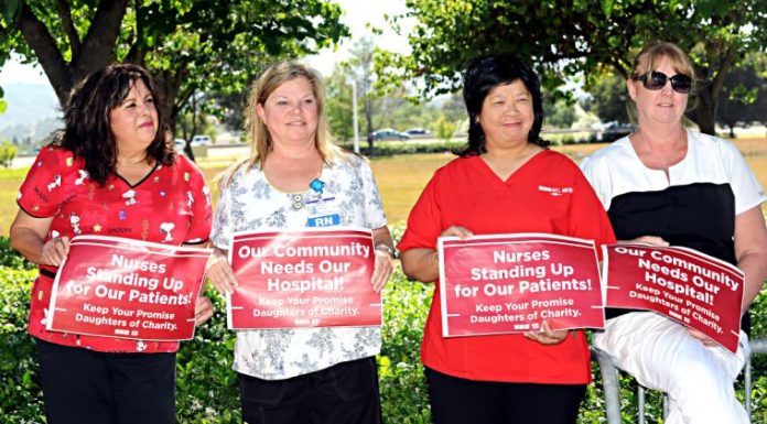 Bids are in for Saint Louise sale