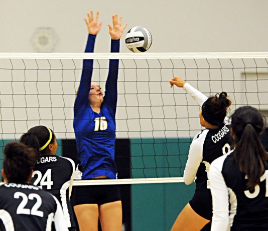 Prep Volleyball: Cougars top Gilroy in friendly rivalry matchup