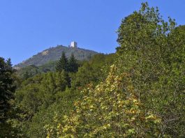Explore the trails and beauty beneath Mt. Umunhum