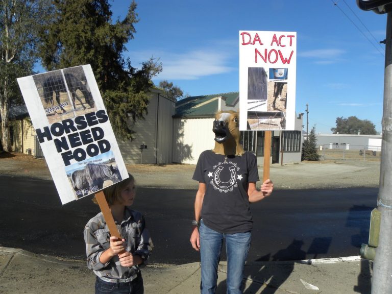 Protesters picket South County animal control