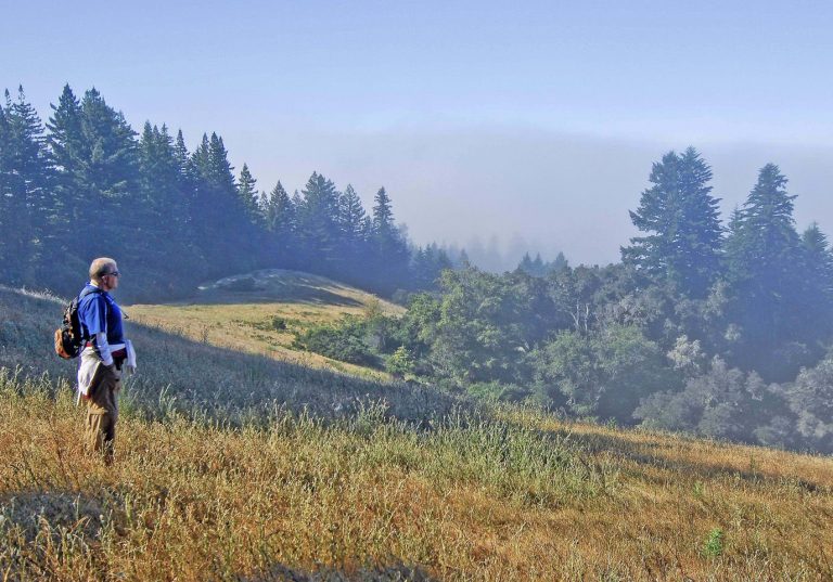 The mixing of politics, nature