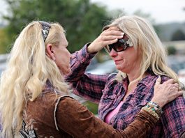 Owner of unhealthy horses pleads no contest to felony