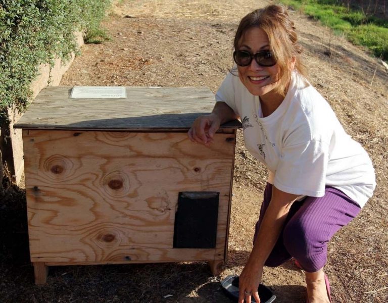 South Valley Personality: Meet Cynthia Stocker