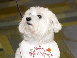 Gilroy library to extend hours, open on Mondays