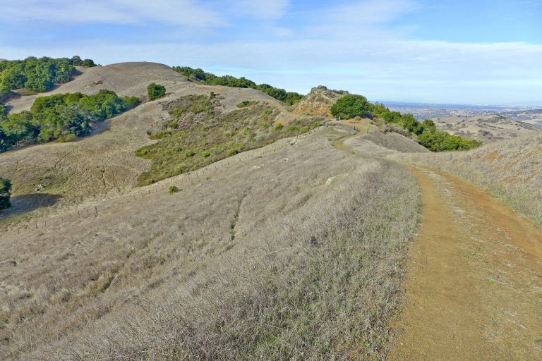 Take the high road at Calero County Park