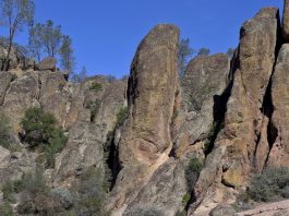 Challengers climb North Chalone Peak