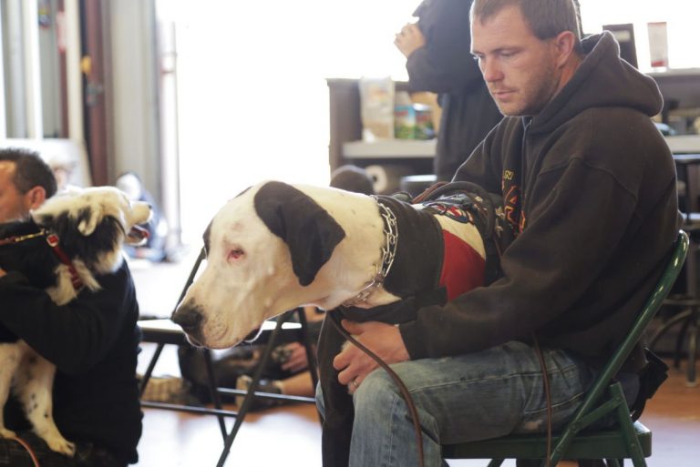 Four paws, two feet, one team: Nonprofit group provides service dogs, training to veterans with disabilities