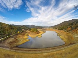 State orders 24 percent cut in water use