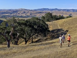 Newest OSP makes for great hiking