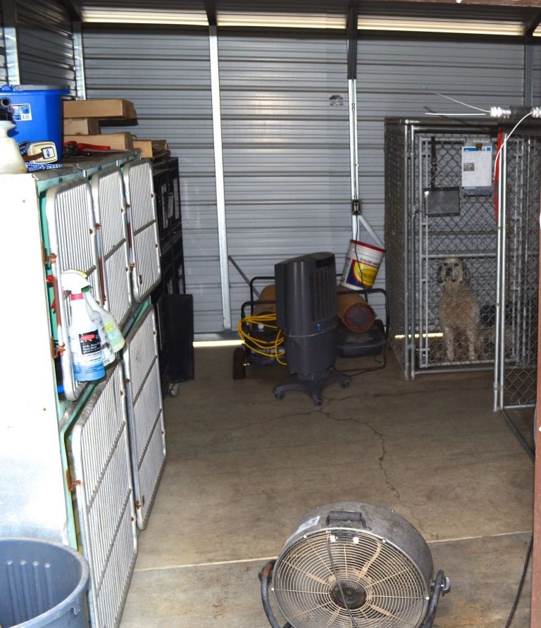 Gilroy to spend $250,000 on new shelter for lost dogs