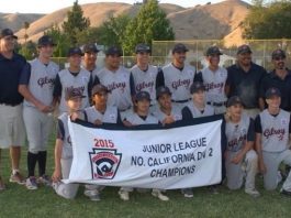 Little League Baseball: Hawaii tops Gilroy at Western Regionals