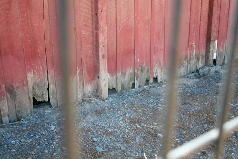 City OKs advocates’ access to Red Barn with conditions