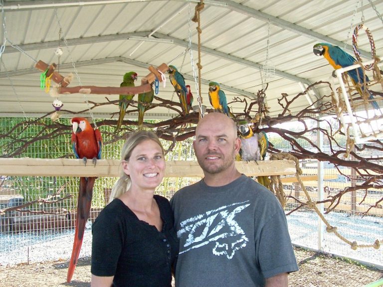 Parrot heads to the rescue of unwanted macaws