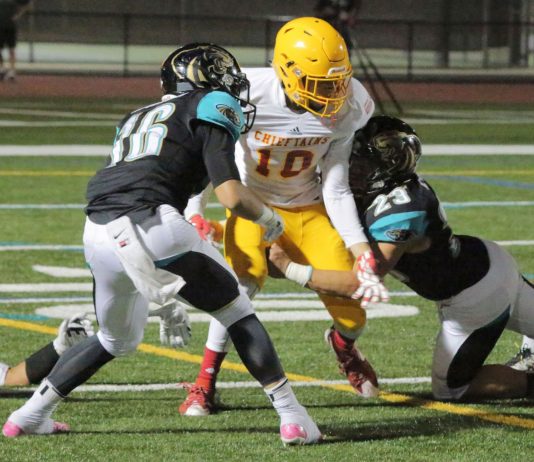 Prep Football: Cougars drop league opener to Palma 35-14