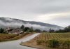 Local Wineries Host Passport Weekend