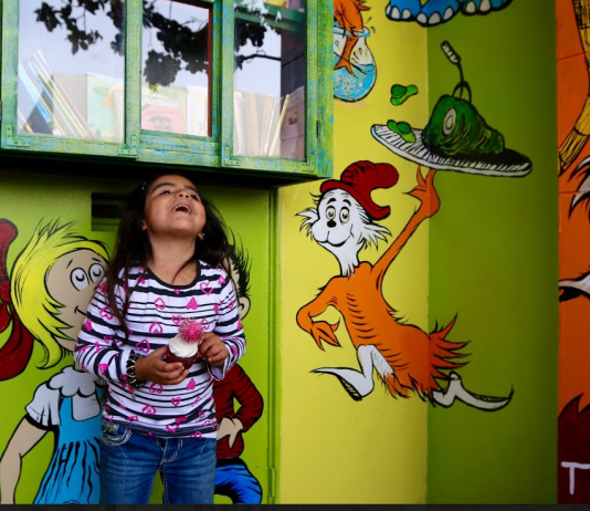 Big Heart, Tiny Library