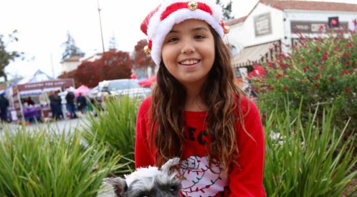 Gilroy Costume Dog Contest, 12/5/2015