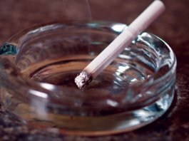 Gilroy Gets C for Tobacco/ Win an Outlet Scholarship