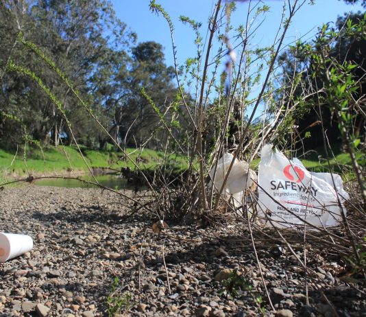 Why is Gilroy the last city in the county to ban bags?