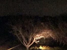 UPDATE: Sheriff’s Deputies Investigating Dead Body Near Gavilan