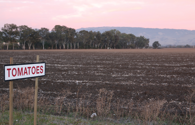 OPINION: Annexation Would Be Good for Gilroy