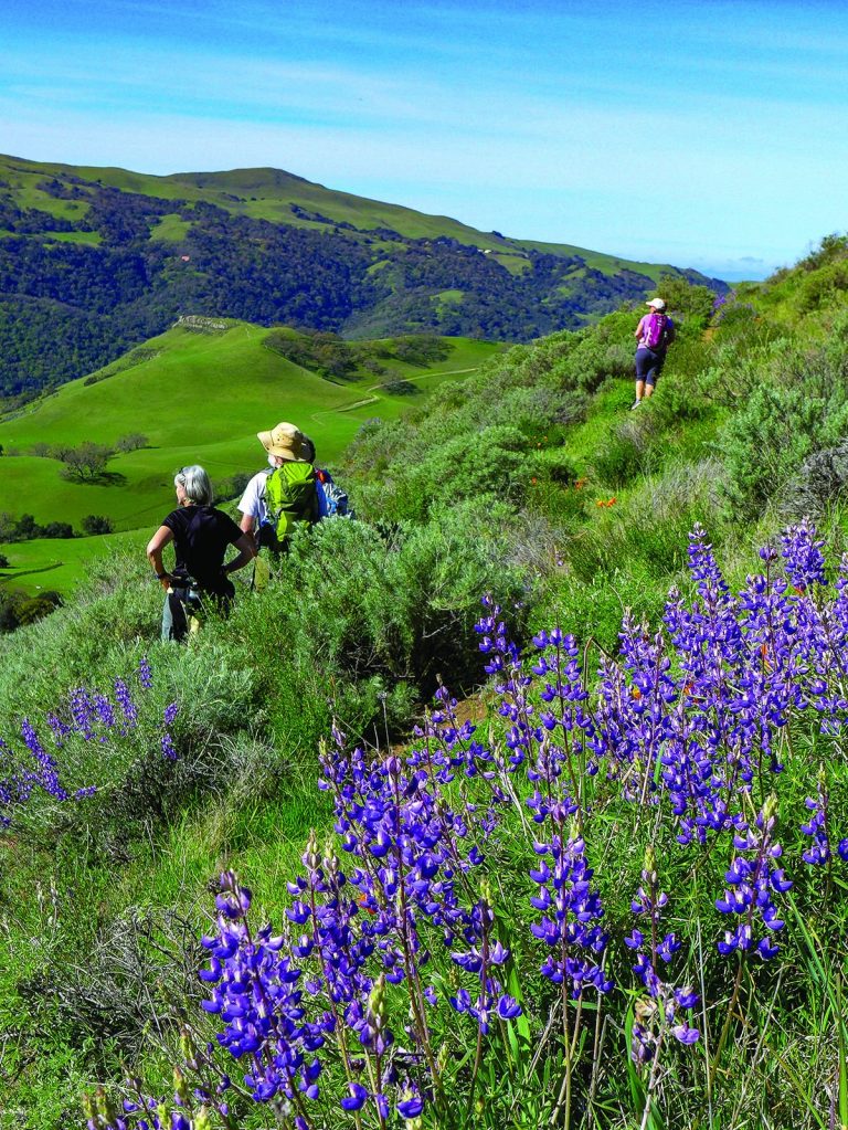Sunol Regional Wilderness hike a stunner