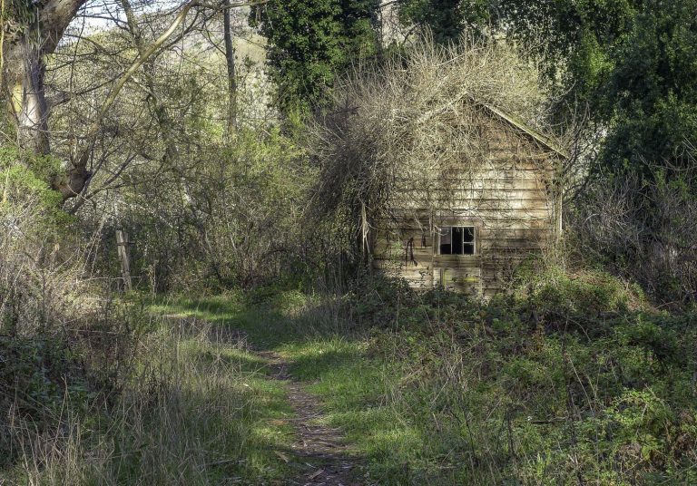 Getting Out: Hidden in the San Mateo foothills