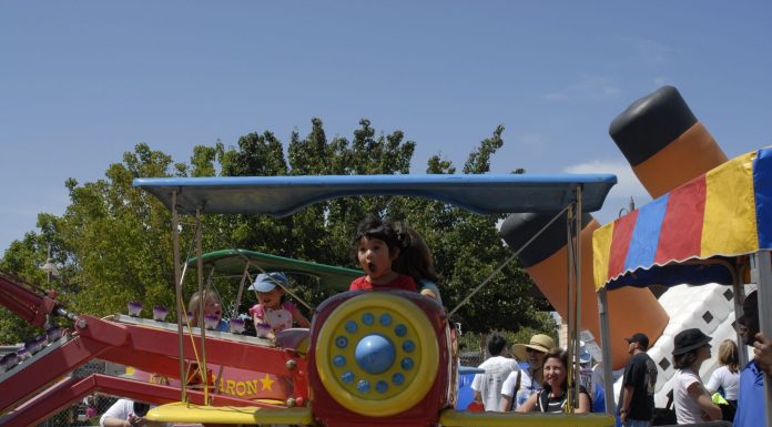 Fun with fantastic fungi