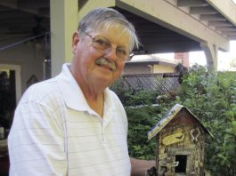 Building scenic birdhouses