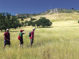 Backpacking at Henry Coe