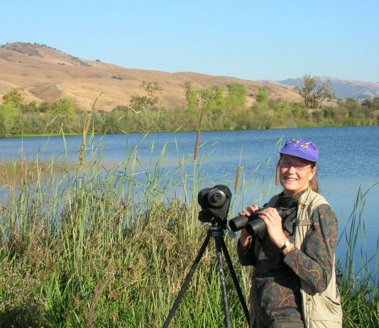 Birds of the South Valley