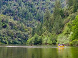 Rafting on the Middle Fork of the American River