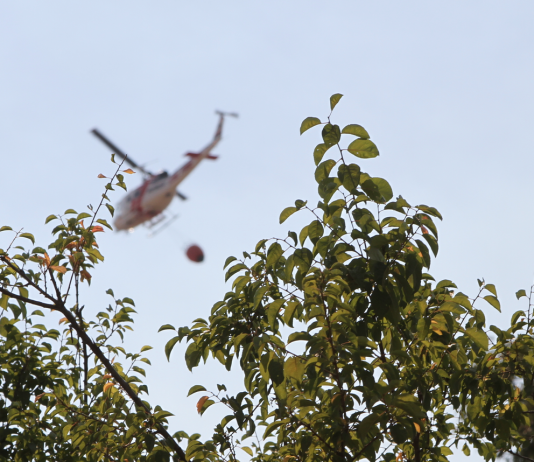 Firefighters Quench Blaze that Threatened the Gilroy Garlic Festival