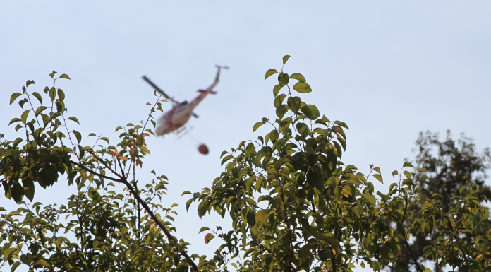 Firefighters Quench Blaze that Threatened the Gilroy Garlic Festival