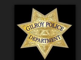 Crazy Crimes in Gilroy