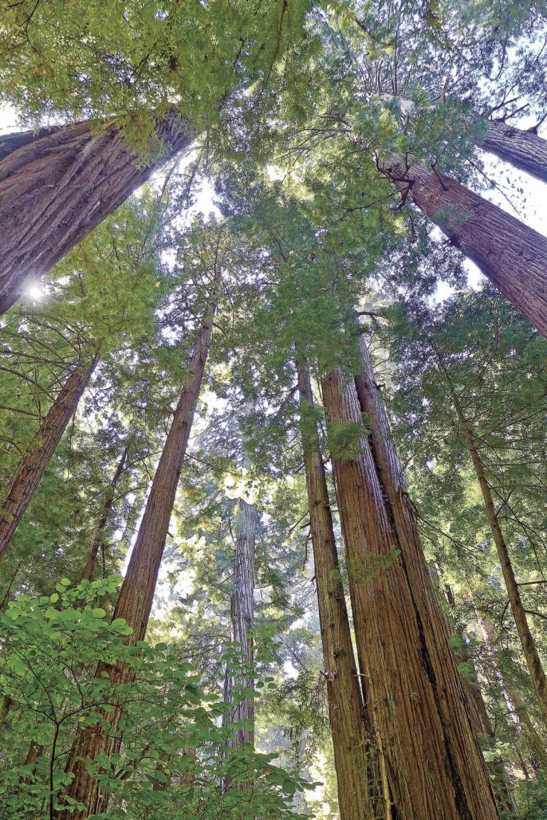 The best first backpack