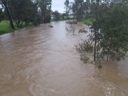 Road Closures Around Gilroy: 152 shut down; 101 and 129 open