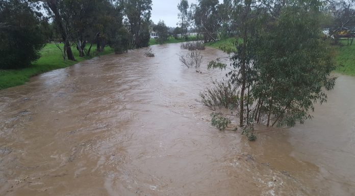 Road Closures Around Gilroy: 152 shut down; 101 and 129 open